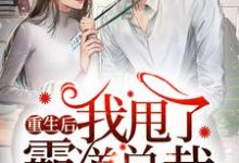 男女主人公楼心月裴以森裴星泽楼心如小说重生后我甩了霸道总裁章节免费阅读-贝壳文学