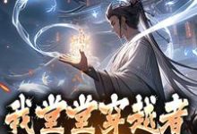主角司华年小说完结版在线阅读，我堂堂穿越者，作一点怎么了？免费看-贝壳文学