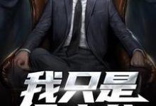 我只是个少爷小说有没有完结版在线？-贝壳文学