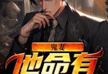 鬼妻：他命有红源小说完结版章节免费阅读-贝壳文学