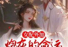 沈婉青陆忱的小说在哪里看？免费在线阅读女配外加炮灰的命运，不争也罢-贝壳文学