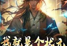 我就是个状元，你让我斩妖？吴道玄在线章节免费阅读-贝壳文学