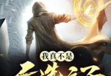 我真不是天选之子章节免费在线阅读，欧辰完结版-贝壳文学