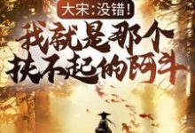 刘禅,岳飞是哪本书的主角?大宋:没错!我就是那个扶不起的阿斗免费读-贝壳文学