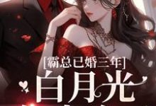 霸总已婚三年,白月光你来晚了小说无弹窗阅读的网站推荐-贝壳文学