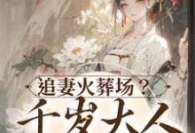 追妻火葬场?千岁大人不同意小说有没有完整的免费版本在线阅读?-贝壳文学