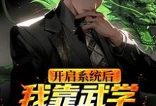 主人公叫林渊的小说开启系统后，我靠武学国术无敌了在线阅读章节-贝壳文学