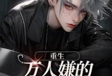 已完结小说《重生：万人嫌的小少爷逆袭了》章节在线阅读-贝壳文学