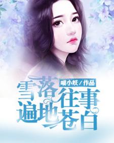 《雪落往事，遍地苍白》小说大结局免费试读 墨闻翊徐芷芯小说