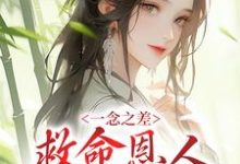 免费阅读秦漱宋郇为主角的小说，一念之差，救命恩人变害命凶手在线看-贝壳文学