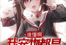 完整版的谁懂啊,我宠物都是美女战士小说在哪里可以免费读到?-贝壳文学