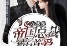 亿万盛宠 ：帝国总裁霸道爱小说全文阅读需要付费吗？寻找免费资源-贝壳文学