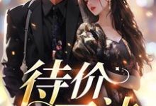寻找能够免费阅读待价而沽小说的平台-贝壳文学