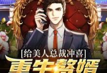 求沈昭楚清眠小说免费资源-贝壳文学
