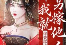 蓝宣平安王荣浩轩为主角的小说你要移情别恋，那我就另嫁他人在线阅读-贝壳文学
