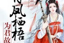有凤栖梧为君故章节免费在线阅读,柳若水墨白完结版-贝壳文学