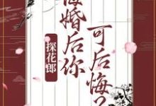 主角叫柳文茵谢安小说探花郎，悔婚后你可后悔？章节免费阅读-贝壳文学