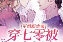 已完结小说《军婚甜蜜蜜，穿七零被军官爆宠》章节在线阅读-贝壳文学