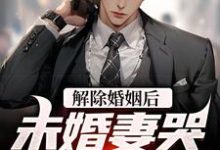 主角叫赵凛的小说在哪阅读-贝壳文学