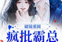 破镜重圆：疯批霸总太缠人小说的所有章节都能在哪里免费读到？-贝壳文学