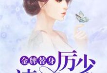 求金牌替身,厉少请自重小说的全文免费阅读链接-贝壳文学