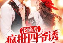完结版《沦陷后，疯批四爷诱哄小娇娇》章节目录在线阅读-贝壳文学