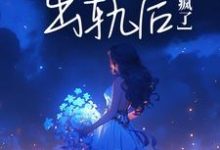 完结版《撞见老公出轨后，我杀疯了》在线免费阅读-贝壳文学