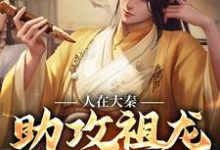 人在大秦,助攻祖龙治理天下嬴子玉嬴政小说在线章节免费阅读-贝壳文学