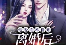 他爱而不自知，离婚后追妻火葬场最新章节，他爱而不自知，离婚后追妻火葬场免费阅读-贝壳文学