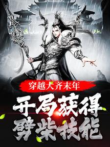 李长生为主角的小说好看吗？求穿越大齐末年，开局获得劈柴技能免费试读