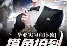 毕业实习程序猿，摸鱼撩到豪门千金小说有没有完结版在线？-贝壳文学