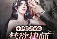 小妖精甜又软,禁欲律师把持不住章节免费在线阅读,赫泓峥苏茗薇完结版-贝壳文学