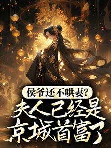 侯爷还不哄妻？夫人已经是京城首富了陆沧洲牧舒远小说免费阅读