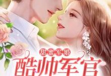 顾北念陆南辰为主角的小说好看吗？求甜蜜军婚，酷帅军官爆宠小娇娇免费试读-贝壳文学
