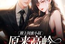 《撩上闺蜜小叔，原来高岭之花也动心》小说章节列表免费试读，傅彦礼闻厘小说在线阅读-贝壳文学