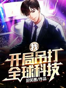 主人公叫何小苗林洛的小说哪里免费看