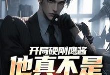 完结版《开局硬刚鹰酱，他真不是馋光刻机》免费阅读-贝壳文学