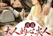 首富大人的心尖人，公主娇妻是也这本小说完结了吗？免费查看最新章节-贝壳文学