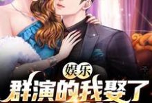《娱乐：群演的我娶了国民女神》小说章节列表免费试读，张凡秦冰小说在线阅读-贝壳文学