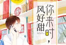 主人公叫林舒沈遇书何小叶江耀的小说哪里免费看-贝壳文学