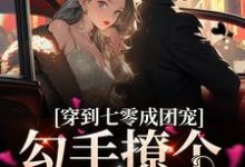穿到七零成团宠，勾手撩个兵哥哥纪瑾瑜，穿到七零成团宠，勾手撩个兵哥哥最新章节-贝壳文学