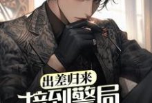 主角王昊小说出差归来，接到警局电话赎老婆免费阅读-贝壳文学