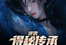免费在线阅读逆袭:得秘传承反杀心机女小说的正规网站有哪些?-贝壳文学