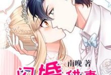 闪婚甜妻已上线小说全文阅读需要付费吗?寻找免费资源-贝壳文学