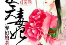 苏芒苏洵南宫修为主角的小说好看吗？求弃妇娘亲太嚣张免费试读-贝壳文学