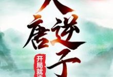 李承风李世民为主角的小说好看吗?求大唐逆子:开局就造反免费试读-贝壳文学