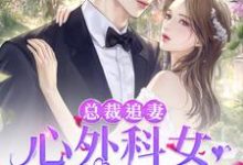 《总裁追妻：心外科女大夫真难追》全集免费在线阅读（宁采薇姚涵卿）-贝壳文学