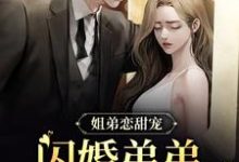 求姐弟恋甜宠！闪婚弟弟又乖又会撩小说的全文免费阅读链接-贝壳文学