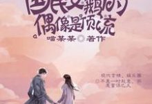 免费在线阅读国民女鹅的偶像是顶流小说的正规网站有哪些?-贝壳文学