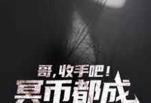 哥,收手吧!冥币都成国货之光了主角白鸣小说完结版章节在线阅读-贝壳文学